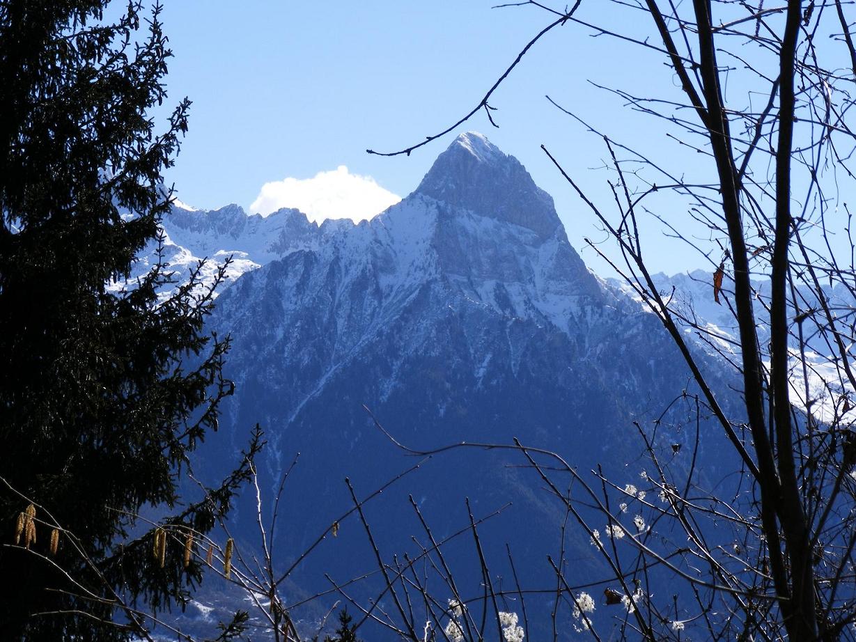 La Regione del Bello